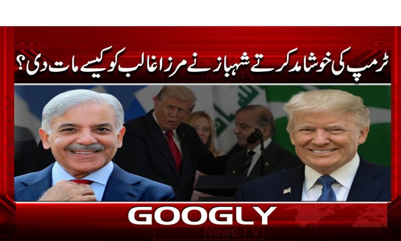 3 ٹرمپ کی خوشامد کرتے شہباز 1