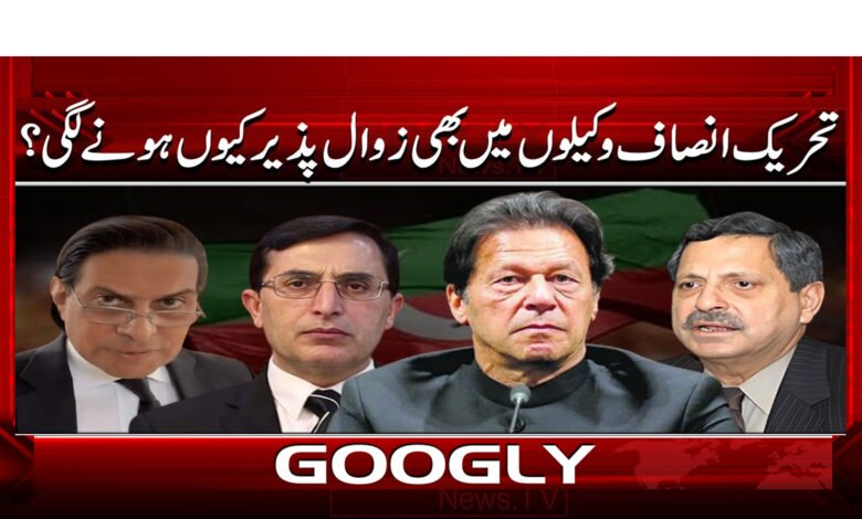 4 تحریک انصاف وکیلوں میں بھی زوال 1