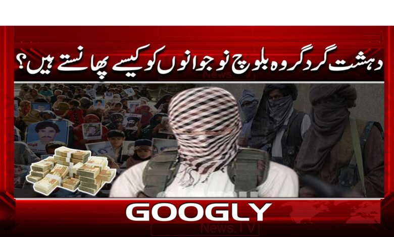 9 دہشتگرد تنظمیں بلوچ نوجوانوں کو 1