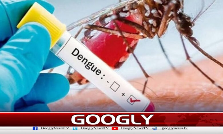Dengue out of control in Islamabad, 24 new cases reported in 24 hours