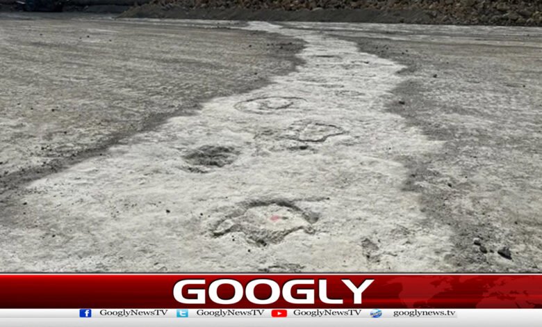 Dinosaur footprints discovered in Britain