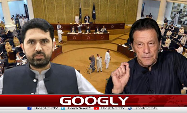 Form the cabinet at your own discretion, Imran Khan's message to Sohail Afridi