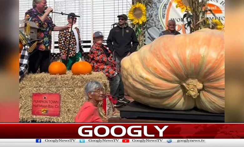 American citizen sets record by growing 2,346-pound pumpkin