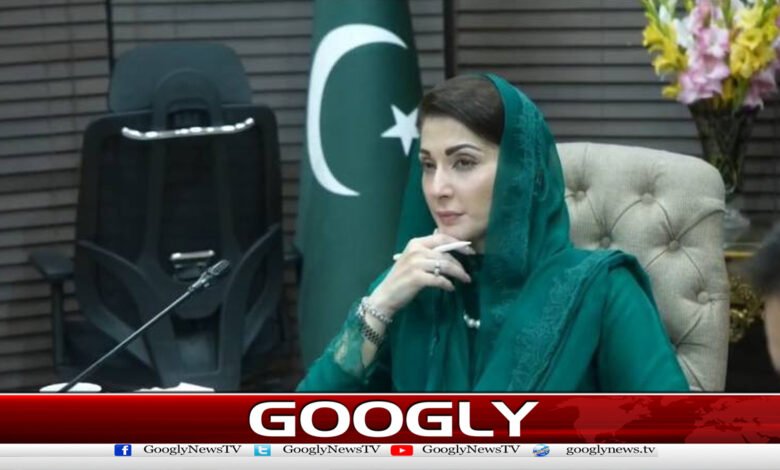 مریم نوازنےٹی ایل پی کے 600کارکنوں کےمرنےکادعویٰ مسترد کردیا 1 Maryam Nawaz rejects claim of 600 TLP workers dead