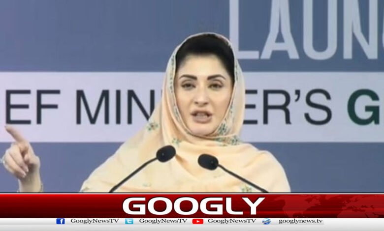 پنجاب کے سیلاب متاثرین کو امدادی کارڈز کی فراہمی شروع ہو گئی 1 How did Maryam Nawaz's plan to celebrate Basant fall through?