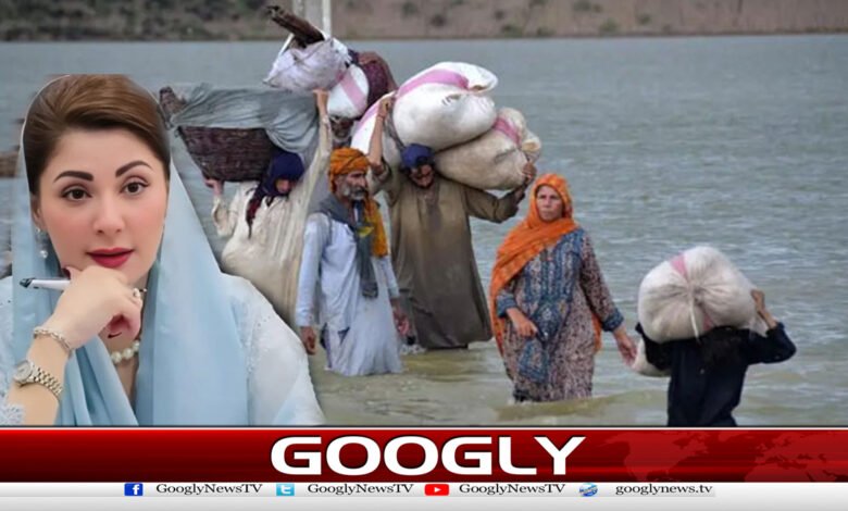 مریم نواز نےسیلاب متاثرین میں چیک تقسیم کرنےکی منظوری دیدی 1 Maryam Nawaz approves distribution of checks among flood victims