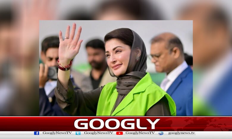 Those who are passionate about the province's development will continue to be passionate, service will continue, Maryam Nawaz