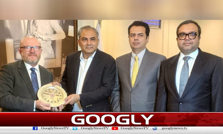 Illegal immigration is a very sensitive issue for Pakistan, says Mohsin Naqvi