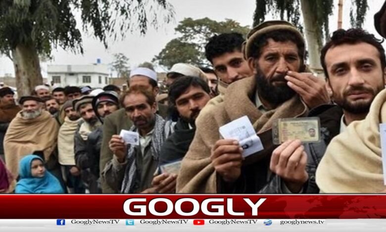 تمام غیر قانونی غیرملکی باشندوں کو وفاقی حکومت کی پالیسی کے مطابق فوری طور پر ملک بدر (ڈی پورٹ) کر دیا جائے گا۔