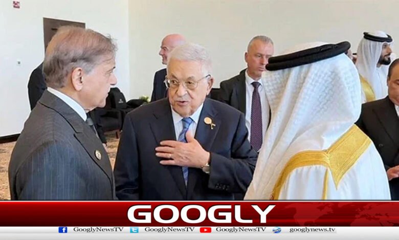 وزیرِاعظم کی شرم الشیخ میں عالمی رہنماؤں سے ملاقاتیں 1 Prime Minister meets with world leaders in Sharm El Sheikh