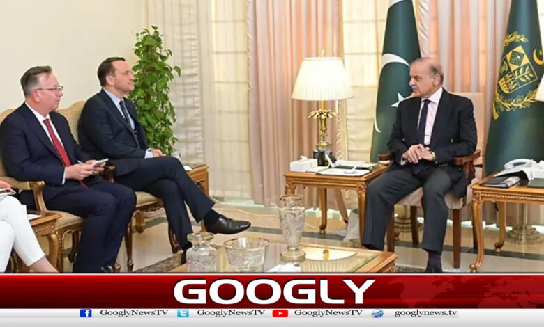 Polish Deputy Foreign Minister meets PM, discusses investment