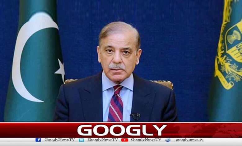 Pakistani delegation represented the nation in the Global Samood Flotilla, says Prime Minister