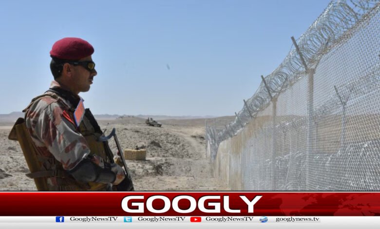 Two Islamic countries play important role in Pak-Afghan ceasefire