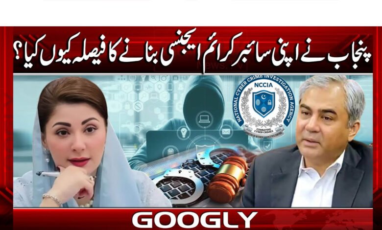 Why did Punjab decide to create its own cybercrime agency?