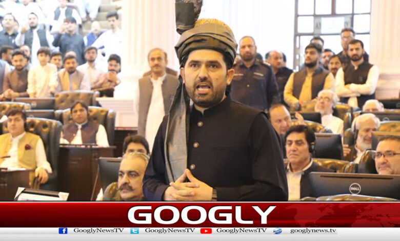 پاکستان کیخلاف جارحیت پرپاک فوج کے ساتھ کھڑے ہوں گے،سہیل آفریدی 1 Will stand with Pak Army against aggression against Pakistan, Sohail Afridi