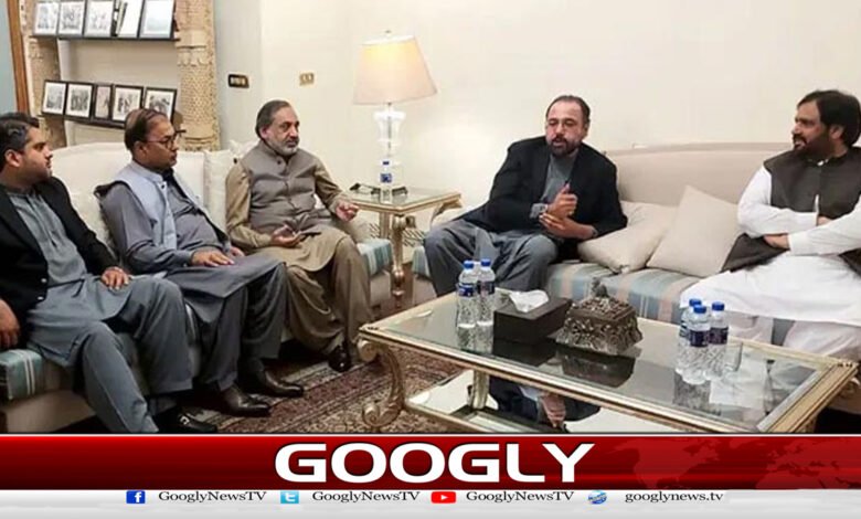 PML-Q announces support for constitutional amendment