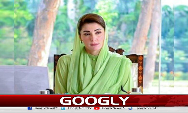 Traffic police abolished, Maryam Nawaz decides to create a new department on the lines of CCD