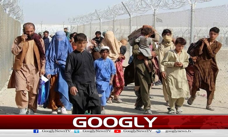 پاکستان میں مقیم افغانی بچوں کیلئے پاکستانی رشتے کیوں ڈھونڈنے لگے؟ 1 Why did Afghan children living in Pakistan start looking for Pakistani relationships?