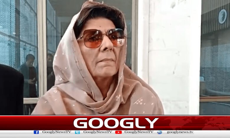 Orders issued to investigate Aleema Khan's properties