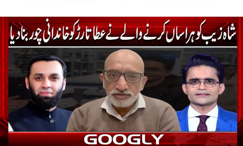 شاہ زیب کو ہراساں کرنے والے نے عطا تارڑ کو خاندانی چور بنا دیا 1 The person who harassed Shahzeb turned Atta Tarar into a family thief.