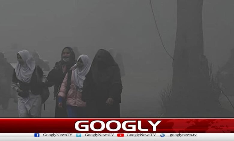 Schools in Punjab will not open before 8:45 am due to smog