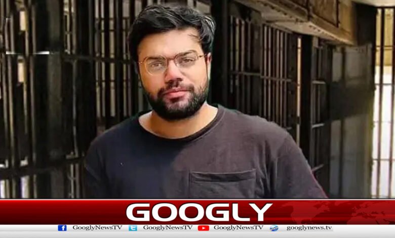 Famous YouTuber's brother released from prison after 4 months