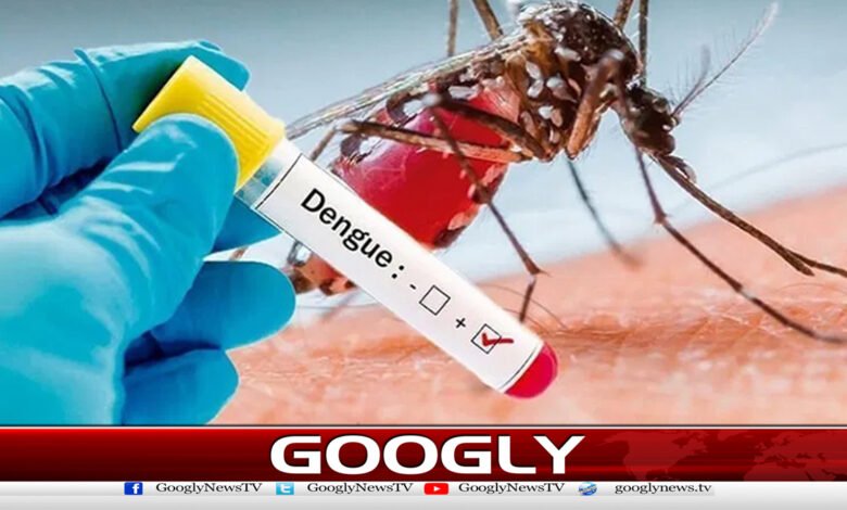 Dengue swallows 3 precious lives in Lahore