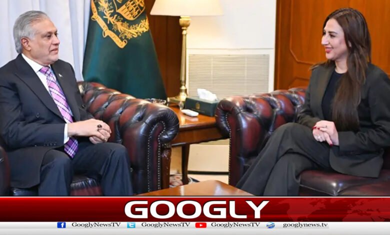 US Charge d'Affaires holds important meeting with Foreign Minister Ishaq Dar