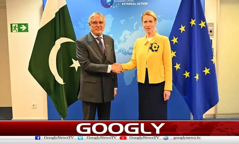 Afghanistan should take action against terrorist organizations, European Union