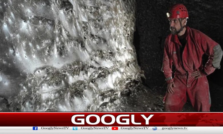 یونان میں مکڑیوں کا دنیا کا سب سے بڑا جال دریافت 1 World's largest spider web discovered in Greece