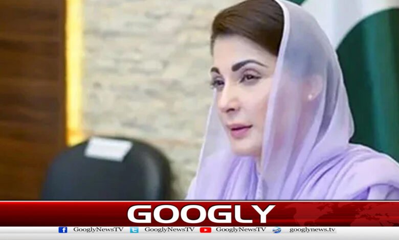 US Congress members write to Maryam Nawaz on measures for environmental protection