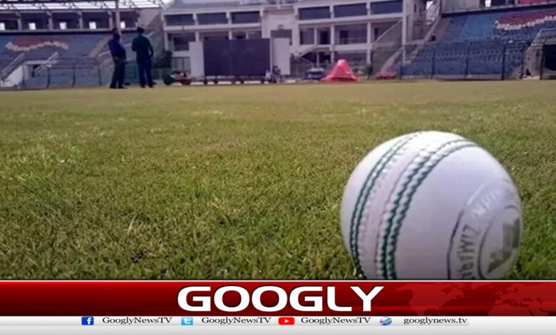 Pakistan reaches semi-finals of World 40-over T20 tournament