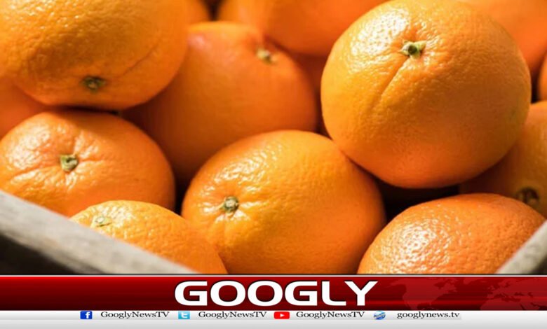 سنگترہ کینسر سمیت کئی بیماریوں سے بچانے میں فائدہ مند قرار 1 Oranges are considered beneficial in protecting against many diseases, including cancer.