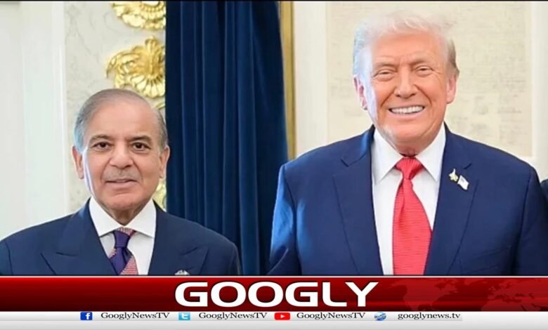 Shahbaz Sharif is playing a vital role for a bright future for Gaza, says Trump