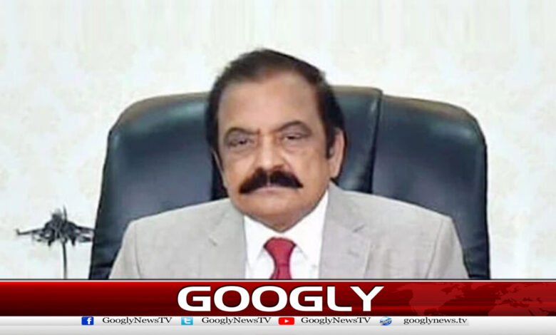 Constitutional amendment includes proposal to abolish dual citizenship, says Rana Thanaullah