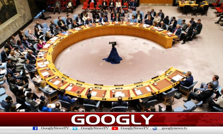 Security Council to vote on Trump's Gaza peace plan on Monday