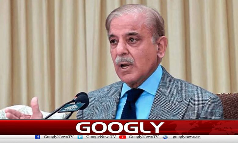 Prime Minister Shehbaz Sharif undergoes medical examination in London, extends stay