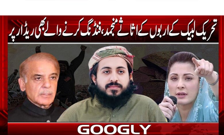 Tehreek-e-Labbaik's assets worth billions of rupees frozen, donors also on radar