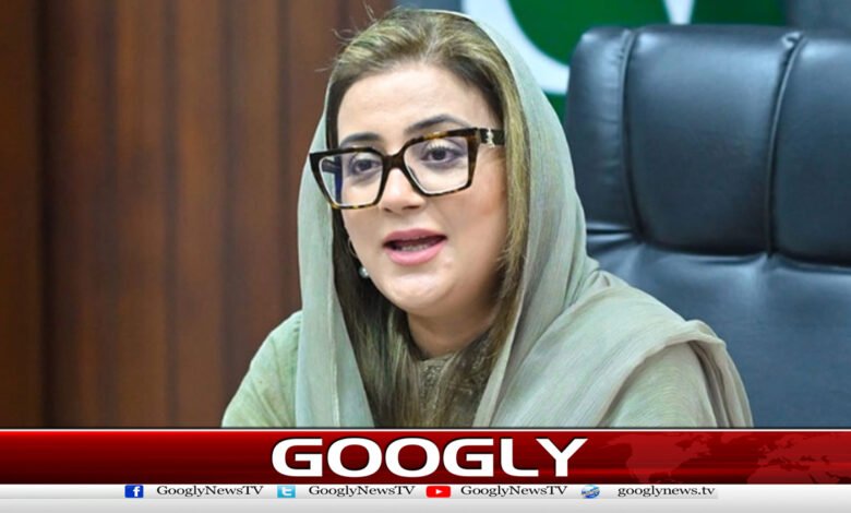 Punjab government announces reward for information on illegal Afghans