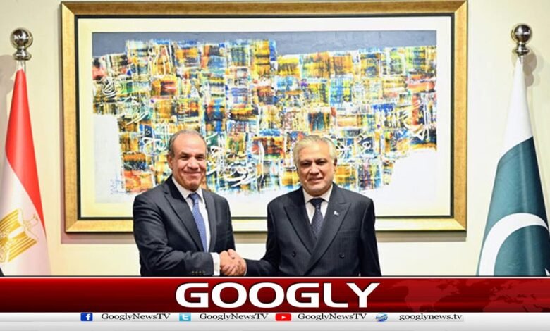 Pakistan and Egypt agree to increase political, economic and defense cooperation
