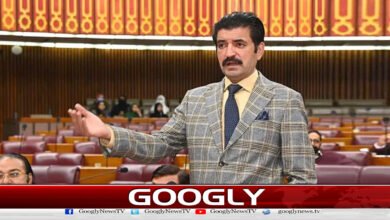 PTI has practically come under Aleema Khan's control: Sher Afzal Marwat