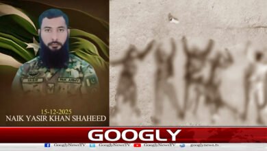 Dera Ismail Khan: Security forces conduct operation, 7 terrorists killed, one Pakistan Army soldier martyred