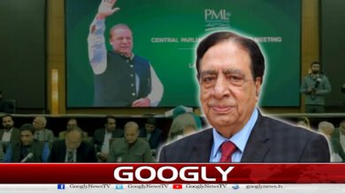 Are PML-N and Nawaz Sharif the same?