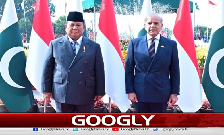 پاکستان اور انڈونیشیا کے درمیان دو طرفہ تعاون بڑھانے پر اتفاق 1 Pakistan, Indonesia agree to enhance bilateral cooperation