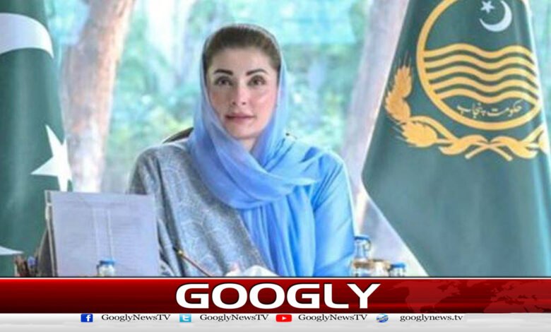 Maryam Nawaz's discretionary fund increased 5-fold as Chief Minister