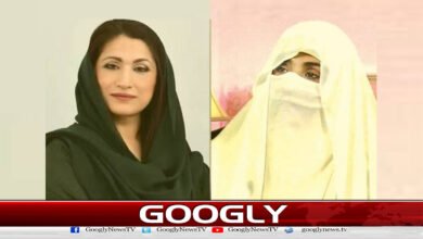 Bushra Bibi is being held in solitary confinement: Maryam Riaz Wattoo