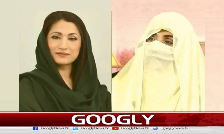 Bushra Bibi is being held in solitary confinement: Maryam Riaz Wattoo