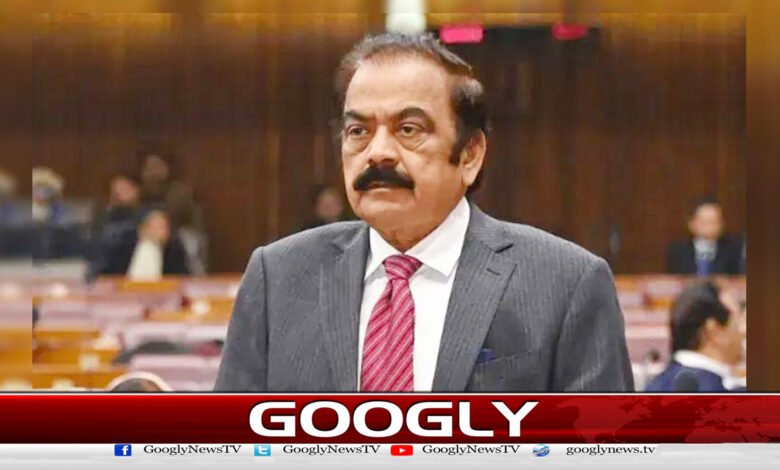 Rana Sanaullah appointed as PML-N parliamentary leader in Senate