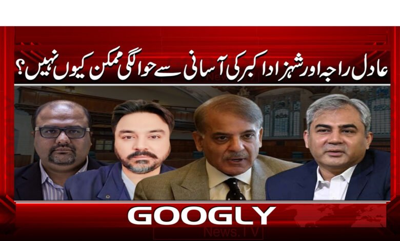 عادل راجہ اور شہزاد اکبر کی آسانی سے حوالگی ممکن کیوں نہیں؟ 1 Why is it not possible to easily extradite Adil Raja and Shahzad Akbar?