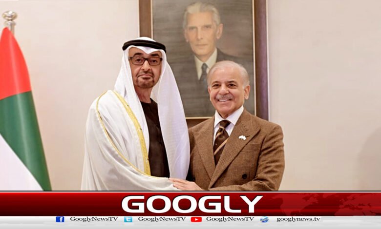 یو اے ای صدر کی وزیر اعظم سے ملاقات، دو طرفہ تعاون بڑھانے پر اتفاق 1 Emirati President meets Prime Minister, agrees to increase bilateral cooperation